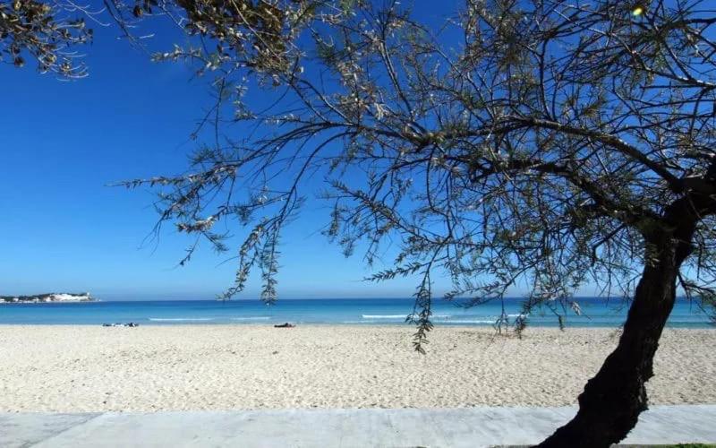 Casa Mandorlo A Mondello Apartman Kültér fotó